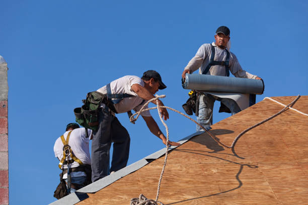 Best Storm Damage Roof Repair  in Mansfield, OH